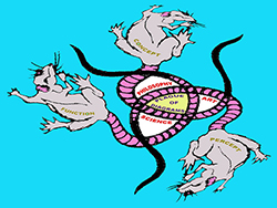 plague of diagrams